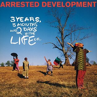 3 YEARS, 5 MONTHS AND 2 DAYS IN THE LIFE OF... (25TH ANNIV.) [LP] (LIMITED WHITE 180 GRAM AUDIOPHILE VINYL) [Analog]の画像