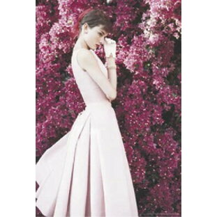 アメリカン雑貨 ポスター Audrey Hepburn DRESS オードリーヘップバーン おしゃれ雑貨 インテリア ディスプレイの画像