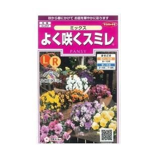 花の種 よく咲くスミレ ミックス 40粒 （株）サカタのタネ 実咲350の画像