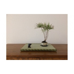 盆彩畳～BONSAITATAMI～ 【11100-0032】の画像
