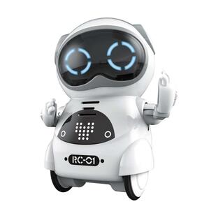 Youcan Robot ポケットロボットの画像
