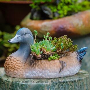 植木鉢 多肉植物鉢 サボテン鉢 樹脂材質 ミニ盆栽 鴛鴦 フラワーポット ペリカン 観葉植物 鉢 インテリア ベランダ オフィス 部屋飾り アヒル ギフトの画像