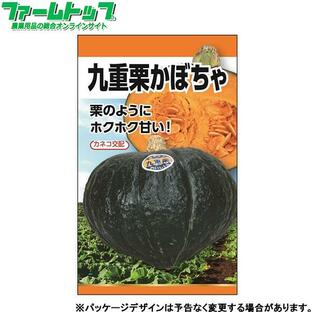 日本農産 野菜の種/種子 南瓜 九重栗かぼちゃ 種 （追跡可能メール便発送 全国一律370円）17070   の画像