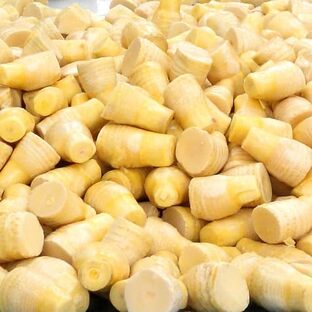 筍 冬筍 たけのこ 冷凍 1000g 1kg ボイル 早掘りたけのこ 高級料亭 たけのこご飯に最適 そのまま使える 高級 皮剥き済み 煮物や天ぷらにも 中国産の画像