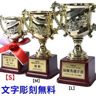 トロフィー 優勝カップ ゴールド 金色 ゴルフ サッカー 試合 コンペ 軽量 Sサイズ t-cup-sの画像