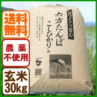 玄米 農薬不使用 コシヒカリ30kg 令和5年産 こうのとり米 送料無料 兵庫県産の画像