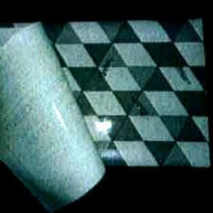 カシノナガキクイムシ調査シート かしながホイホイフリー 50枚 アース製薬 カシノナガキクイムシ対策 送料無料の画像