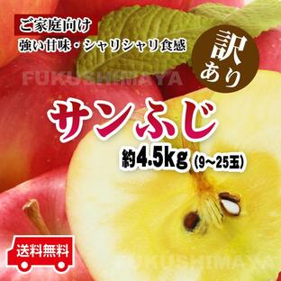 りんご 訳あり 家庭用 福島県産 訳アリ サンふじ リンゴ 4.5kg箱 9〜25玉入 格安 食品ロス 発送可能期間：11月下旬〜3月上旬頃の画像