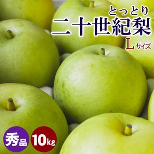 最終受付中 20世紀梨 梨王国鳥取 梨 二十世紀梨 10kgセット Lサイズ 32玉前後 鳥取県産 なし 和梨 ご贈答用 秀玉 山田農園の画像