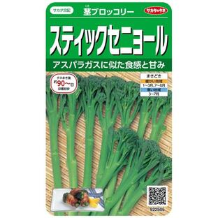 サカタのタネ 実咲野菜2505 スティックセニョール 茎ブロッコリーの画像