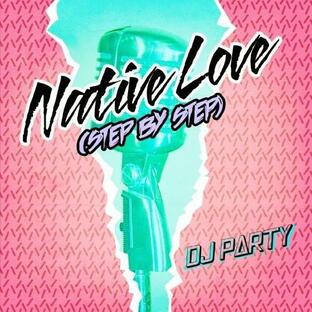 DJパーティー DJ Party - Native Love CD シングル 輸入盤の画像