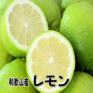 国産（和歌山県産）レモン/グリーンレモン 1kg 訳あり ノーワックスの画像