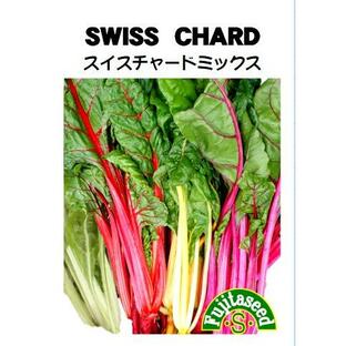 野菜 タネ 種 スイスチャード ミックス（白・赤・黄・ピンク） 藤田種子の画像
