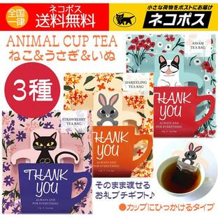 プチギフト お礼 紅茶 ティーバッグ おしゃれ かわいい アニマル 動物 3種類 ネコ ウサギ イヌ 送料無料の画像
