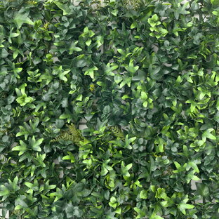 フェイクグリーン 壁掛け 壁面用 壁用フェイクグリーン グリーンパネル グリーンウォール UV DIY 壁面緑化 パネル 観葉植物 造花 ナチュラル オフィス 店舗 おしゃれ 屋外 屋内 賃貸OK Euphoria ユーフォリア 50×50cm CSZの画像