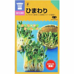 訳アリ商品 （有効期限2024年10月）お一人様2個まで【種】 スプラウト ひまわり 30ml （郵便配送商品）の画像