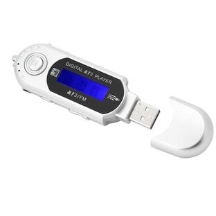 USB MP3 Digital Music Player, Portable Music Player, Home Wirele 並行輸入品の画像