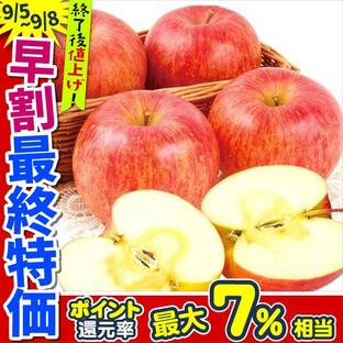 りんご 10kg みちのくサンふじ 山形産 送料無料 食品の画像