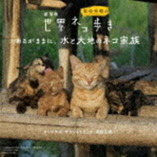 日本コロムビア CD 高野正樹 劇場版 岩合光昭の世界ネコ歩き あるがままに,水と大地のネコ家族 オリジナル・サウンドトラックの画像