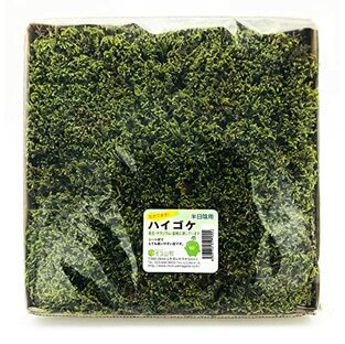モス山形 盆栽用コケパッケージ ハイゴケ 25cmX25cm MH-2の画像