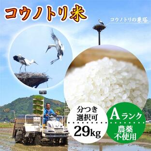 玄米（精米無）農薬不使用 29kg 白米 こうのとり米 令和5年産 有機肥料 コシヒカリ 送料無料 当日精米の画像