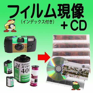 ネガフィルム現像＋CD書込みの画像