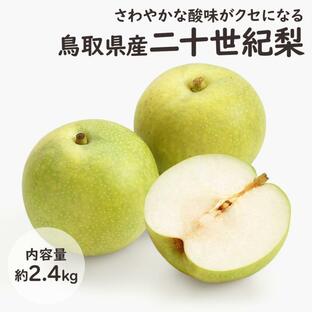 鳥取県産 二十世紀梨 2.4kg 秀品以上の贈答用 100年以上愛され続けた青梨 20世紀梨 フルーツ 贈答 ギフト 【MR】 [二十世紀梨 鳥取 2.4kg]の画像