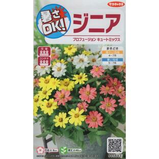 サカタのタネ 花の種 実咲花5643 暑さOK ジニア プロフュージョン キュートミックスの画像