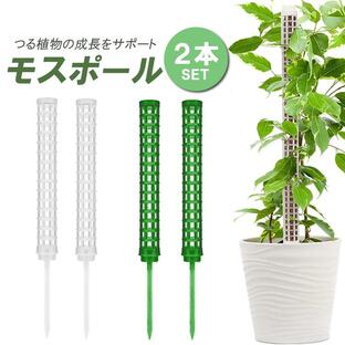 モスポール 支柱 2本セット 連結可能 観葉植物 モンステラ つる植物 着生植物 園芸支柱 植物支柱 水苔棒 耐腐食性 プラスチック グリーン ホワイト HOP-Z25C02Sの画像