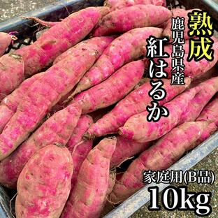 本場鹿児島 焼き芋屋が送る 訳あり 熟成さつまいも 10kg 選べる品種【紅はるか・紅まさり】サツマイモ 5kg以上の画像
