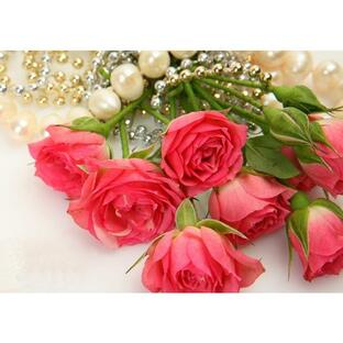絵画風 壁紙ポスター (はがせるシール式) バラとネックレス 真珠 ピンクパンサー 薔薇 花 キャラクロ FROS-006A2(A2版 594mm×420mm)＜日本製＞の画像