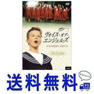 セール ヴォイス・オブ・エンジェルズ-少年合唱団の天使たち- DVDの画像