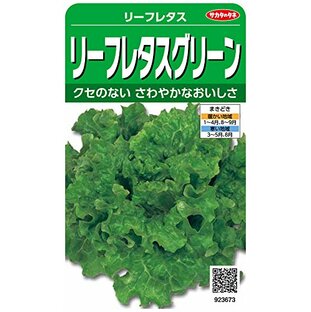 サカタのタネ 実咲野菜3673 リーフレタスグリーン 10袋セット 10袋セットの画像