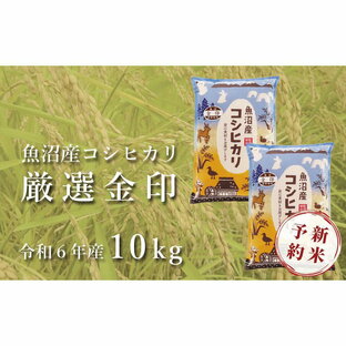 【ふるさと納税】＜令和6年産新米予約＞魚沼産コシヒカリ「金印」高食味米 10kgの画像