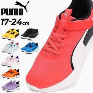 プーマ キッズ スニーカー 17-24cm PUMA スピードモンスター Z 子供靴 ローカット ゴム紐 1本ベルト マジックテープ 子ども 男の子 女の子 運動靴 体育 /309935の画像