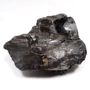 石炭 太平洋炭鉱産 太平洋炭礦産 標本用 原石 資料用の画像