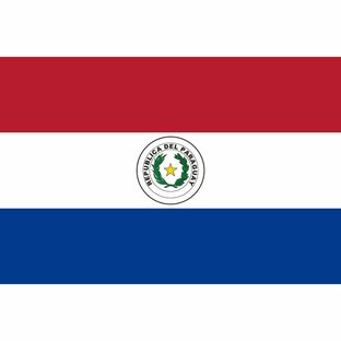 TOSPA パラグアイ国旗セット 高級アルミ合金パーツ付きの画像