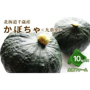 ふるさと納税 2024年 秋発送 かぼちゃ ＜ 九重栗 ＞10kg《 土居ファーム 》 野菜 カボチャ 南瓜 食べ比べ 千歳 北海道の画像