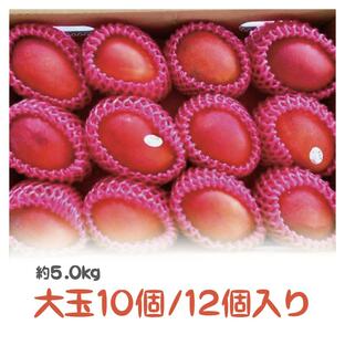 台湾産 アップルマンゴー 約5.0kg 大玉８玉/９玉/１０個/１２個入り（アーウィン種）の画像