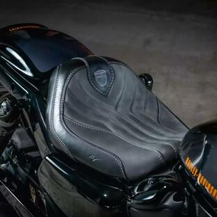 ハーレー ナイトスター RH975 ショートリアフェンダー用 シートパン 【Thunderbike】の画像