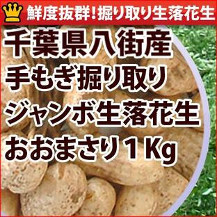 2024年新豆 掘り取り生落花生おおまさり1kg オマケ付きの画像