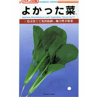 小松菜種 カネコ交配 よかった菜  カネコ種苗の小松菜品種です。 種のことならお任せグリーンデポの画像