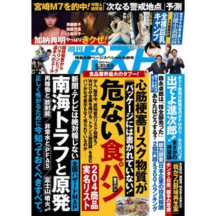 週刊ポスト 2024年8月30日・9月6日合併号 電子書籍版 / 週刊ポスト編集部の画像