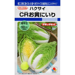 【種子】ミニハクサイ（白菜）CRお黄にいり タキイ種苗のタネの画像