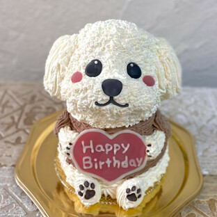 白いトイプードルの立体ケーキ 犬 誕生日 センイルケーキ 動物ケーキ ドンムルケーキの画像