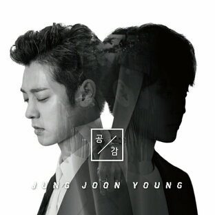 輸入盤 JUNG JOON YOUNG SINGLE SIMPATHYの画像