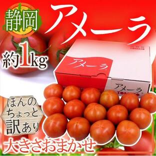 静岡県 ”高糖度フルーツトマト アメーラ” 大きさおまかせ 約1kg ほんのちょっと訳あり 化粧箱入り【予約 入荷次第発送】の画像