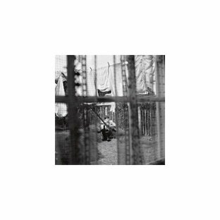 ユニバーサルミュージック universal-music CD ポール・マッカートニー ケイオス・アンド・クリエイション・イン・ザ・バックヤード~裏庭の混沌と創造の画像