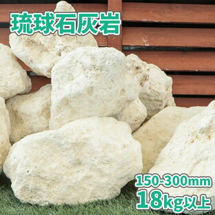 琉球石灰岩 150-300mm 360kg 庭 石 大 割栗 diy ロックガーデン 庭の石 砕石 大きい 割栗石 種類 琉球石灰の画像
