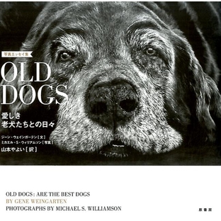 ジーン・ウェインガーテン/OLD DOGS 写真エッセイ集 愛しき老犬たちとの日々[9784562053612]の画像